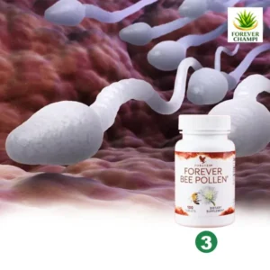 Augmente les spermatozoïdes